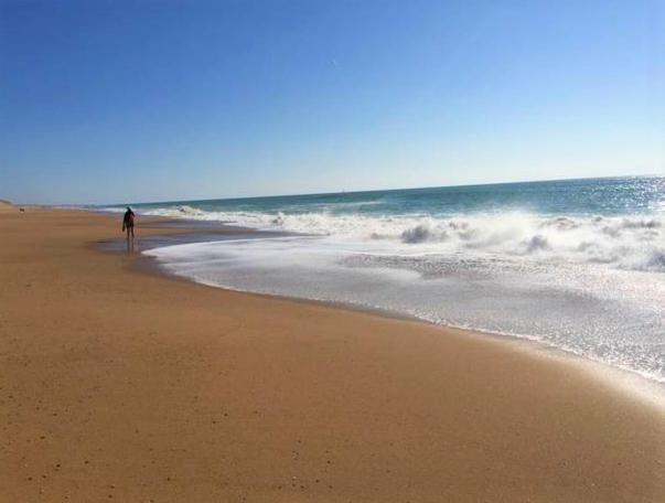 Appart Breti Plage 2 - Duplex Brétignolles-sur-Mer Eksteriør bilde